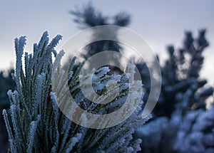 Nature covered in the snow during cold Winter in the country on the hills.