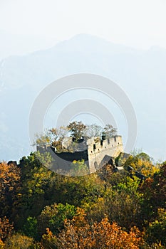 Tree-covered tower. Overgrown with trees the tower of the great Chinese wall