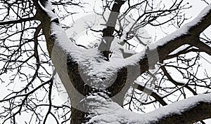 Nature covered in the snow during cold Winter in the country on the hills.