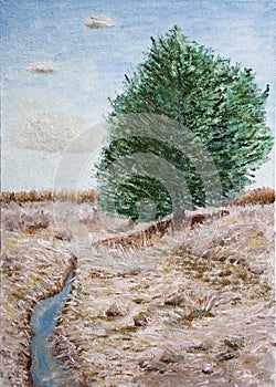 Tree by creek