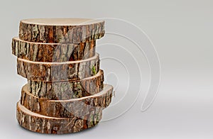Tree cross sections, isolated. Copy space for text. Tree trunks close-up.