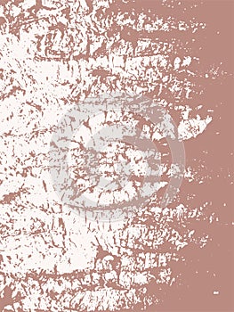 Tree Crust Vector Texture Background