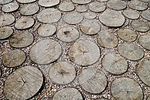 Tree cut road