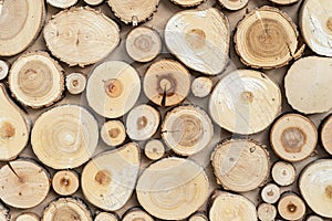 Tree cuts with growth rings and pronounced texture