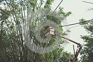 A tree-cutter in a basket,Lumberjack Cable Saw, Branch Cutter, Bamboo Tree.Bamboo