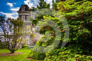 A tree and the Cylburn Mansion at Cylburn Arboretum in Baltimore