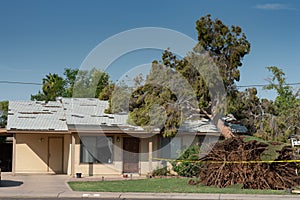 Tree Damage to Roof after Major Monsoon