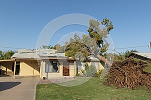Tree Damage to Roof after Major Monsoon