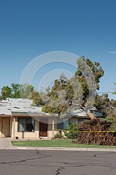 Tree Damage to Roof after Major Monsoon