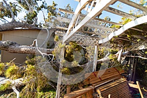 Tree Damage to Roof after Major Monsoon