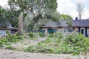 Tree Debris Clean-up After Storm photo