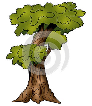 Tree - Deciduous