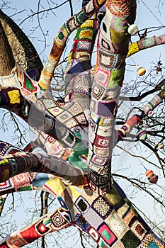 Tree decorated with knitwear