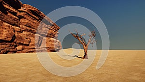 Tree in the desert. Extremely detailed and realistic high resolution 3d illustration