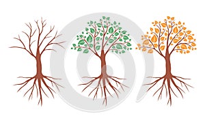 Tree in different seasons set