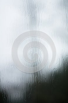 Tree distorted by rain drops on window pane