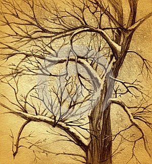 Tree drawing