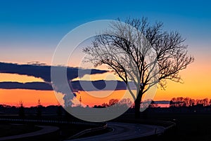 Tree at dusk in front of phantastic steam clouds of a power plant