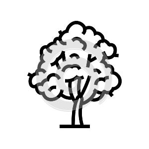 tree eco conscious line icon vector illustration photo
