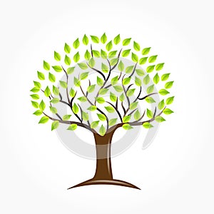 Tree ecology icon symbol vector logo