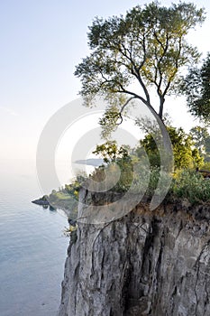 Tree on edge of cliff and Lake Ontario - Scarborough Bluffs - Toronto photo