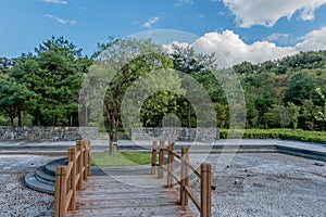 Tree at end of wooden footbridge in park