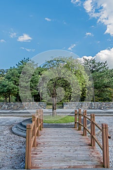 Tree at end of wooden footbridge in park