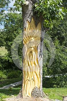 Tree engraving in tarbert park photo