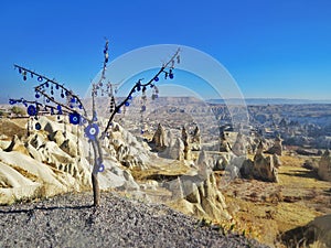 Tree with evil eyes in Capadocia