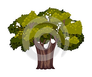 Tree with Exuberant Green Foliage and Trunk Vector Illustration
