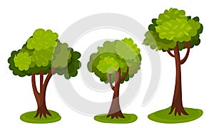 Tree with Exuberant Green Foliage and Trunk Vector Illustration