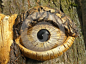 Tree eye