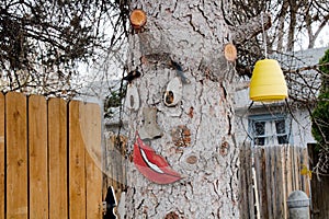 Tree face