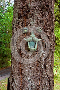 Tree Face