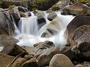 Tree and fall at Lake Gaube, natural park of the Pyrenees.