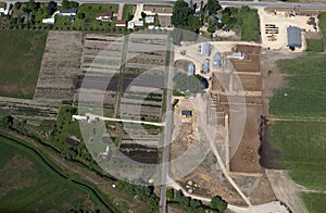 Tree farm and cattle feedlot