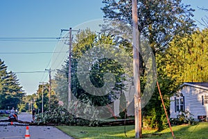 Tree Fell Across Road in Microburst Storm