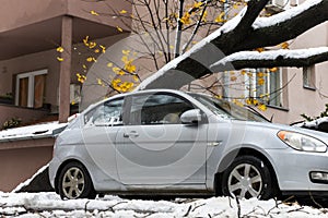 Tree fell on the car and crushed it due to heavy snow storm