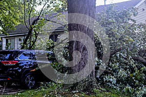 Tree Fell on Car in Microburst Storm