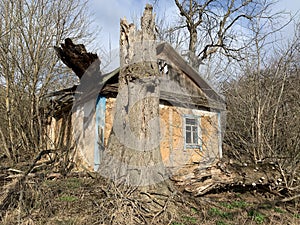 The tree fell on a wooden house in the forest. Old skewed house in the village. Abandoned, ruined building