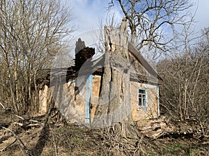 The tree fell on a wooden house in the forest. Old skewed house in the village. Abandoned, ruined building