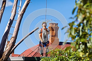 Tree Feller at work