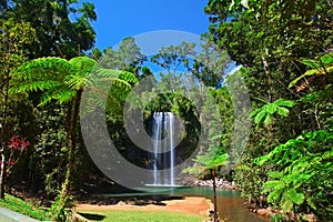 Tree fern waterfall tropical rain forest paradise