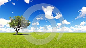 Tree field of grass and perfect sky landscape 3D rendering