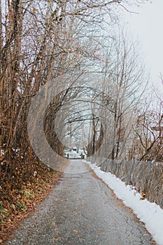 a tree filled road that is surrounded by leaves and snow