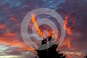 A tree on fire with burning clouds