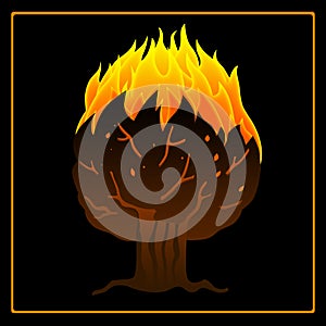 Tree on fire icon