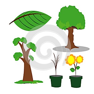 Tree and flower drawing illustration vector