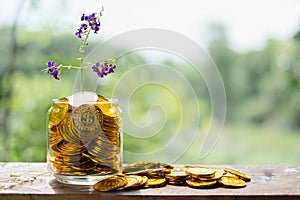 Tree with flowers growing on glass piggy bank from pile of gold coins
