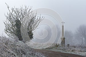 Un árbol niebla a cruz 